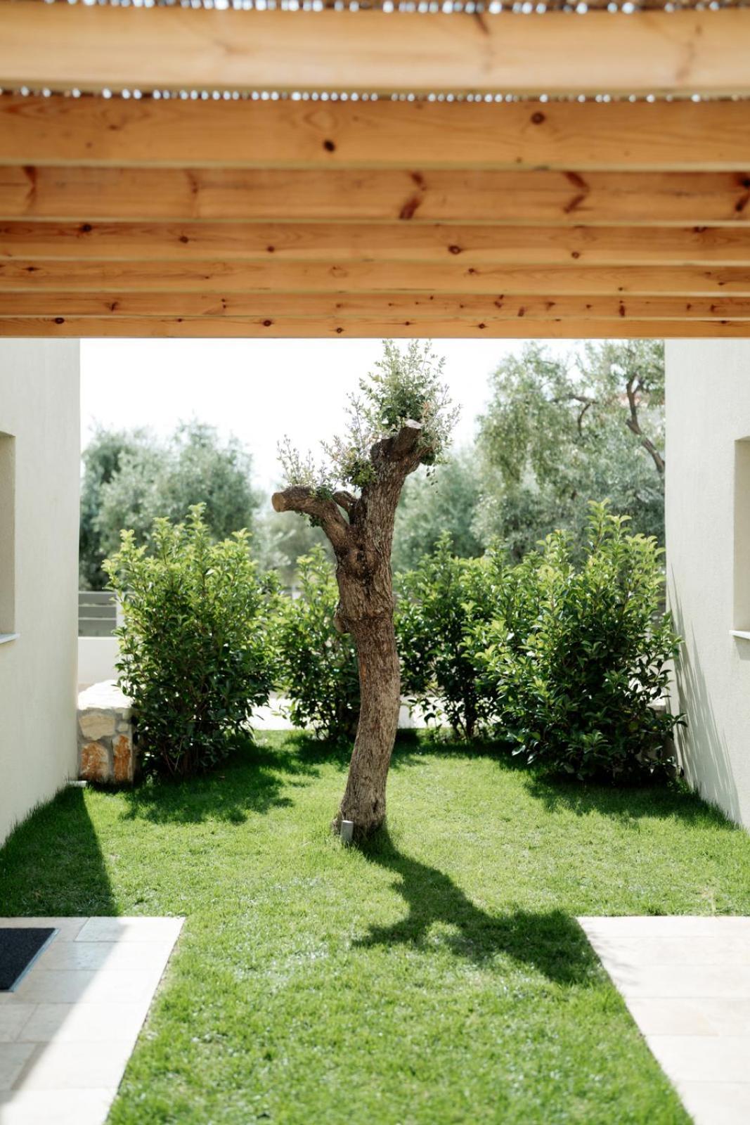 Magnolia Villas Potos Thassos Exterior photo
